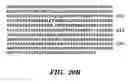 Fig. 34 - Nucleic acid encoding Bacillus stearothermophilus delta prime polymerase subunit