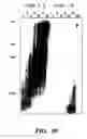 Fig. 45 - Nucleic acid encoding Bacillus stearothermophilus delta prime polymerase subunit