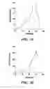 Fig. 46 - Nucleic acid encoding Bacillus stearothermophilus delta prime polymerase subunit