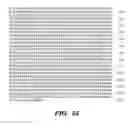 Fig. 64 - Nucleic acid encoding Bacillus stearothermophilus delta prime polymerase subunit