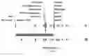 Fig. 01 - Methods and compositions for the detection of mucolipidosis IV mutations