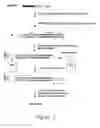 Fig. 04 - Method for comprehensive identification of cell lineage specific genes