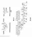 Fig. 02 - Fluorogenic enzyme substrates and uses thereof