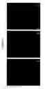 Fig. 02 - PNA oligomers, oligomer sets, methods and kits pertaining to the determination of Enterococcus faecalis and other Enterococcus species