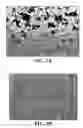 Fig. 03 - Method and apparatus for in vivo surveillance of circulating biological components