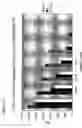 Fig. 08 - Luciferase biosensor