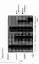 Fig. 28 - Luciferase biosensor