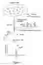 Fig. 02 - Mass spectrometric immunoassay analysis of specific proteins and variants present in various biological fluids