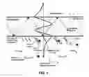 Fig. 02 - Single base extension