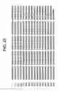 Fig. 23 - Novel DKR polypeptides