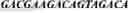 Fig. 802 - Selective terminal tagging of nucleic acids