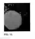 Fig. 17 - Method and devices for running reactions on a target plate for MALDI mass spectrometry