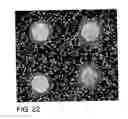 Fig. 23 - Method and devices for running reactions on a target plate for MALDI mass spectrometry