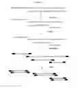 Fig. 08 - Analysis of methylation status using oligonucleotide arrays