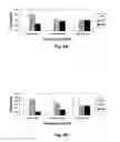 Fig. 08 - Real-time polymerase chain reaction-based genotyping assay for beta2-adrenergic receptor single nucleotide polymorphism