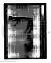 Fig. 06 - Method for the evaluation of velvet antler