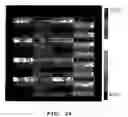 Fig. 28 - Polymer arrays