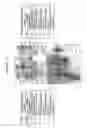 Fig. 14 - Reagents and methods useful for detecting diseases of the breast