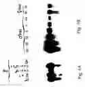 Fig. 02 - Peptides and polypeptides derived from the submaxillary gland of the rat, corresponding polyclonal and monoclonal antibodies, corresponding hybridomas and uses of these products for diagnosis, for detection or therapeutic purposes