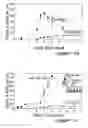 Fig. 06 - CEA/NCA-based differentiation cancer therapy