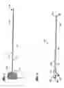 Fig. 02 - Method and apparatus for in vivo collection of circulating biological components