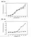 Fig. 06 - Immunocapture of mitochondrial protein complexes