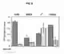 Fig. 07 - Immunocapture of mitochondrial protein complexes