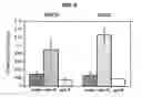 Fig. 08 - Immunocapture of mitochondrial protein complexes