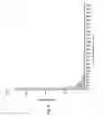 Fig. 09 - Expression vector