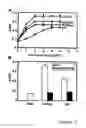 Fig. 04 - Unique integrin binding site in connective tissue growth factor (CTGF)