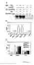 Fig. 06 - Unique integrin binding site in connective tissue growth factor (CTGF)