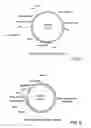Fig. 02 - Flavobacterium heparinum expression system