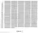 Fig. 02 - Human GIL-19/AE289 proteins