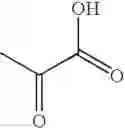 Fig. 29 - Aldolase and production process of substituted α-keto acids