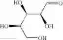 Fig. 31 - Aldolase and production process of substituted α-keto acids