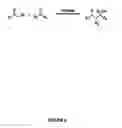 Fig. 07 - Aldolases, nucleic acids encoding them and methods for making and using them