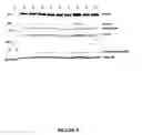 Fig. 09 - Methods of adenovirus purification