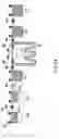 Fig. 37 - Nucleic acid detecting cassette, nucleic and detecting apparatus utilizing nucleic acid detecting cassette, and nucleic acid detecting system utilizing nucleic acid detecting cassette