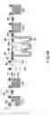 Fig. 41 - Nucleic acid detecting cassette, nucleic and detecting apparatus utilizing nucleic acid detecting cassette, and nucleic acid detecting system utilizing nucleic acid detecting cassette
