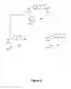 Fig. 07 - Ecstasy-class derivatives, immunogens, and antibodies and their use in detecting ecstasy-class drugs