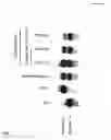 Fig. 07 - Methods for assaying gene imprinting and methylated cpg islands