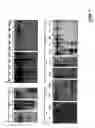 Fig. 19 - Methods for assaying gene imprinting and methylated cpg islands