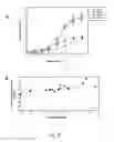Fig. 09 - Adipose-derived stem cells and lattices