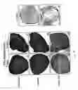 Fig. 15 - Adipose-derived stem cells and lattices