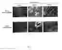 Fig. 18 - Adipose-derived stem cells and lattices