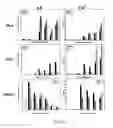 Fig. 28 - Adipose-derived stem cells and lattices