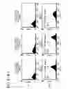 Fig. 47 - Adipose-derived stem cells and lattices