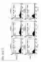 Fig. 52 - Adipose-derived stem cells and lattices