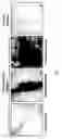 Fig. 75 - Adipose-derived stem cells and lattices
