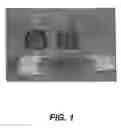 Fig. 02 - Method for facilitating the production of differentiated cell types and tissues from embryonic and adult pluripotent and multipotent cells